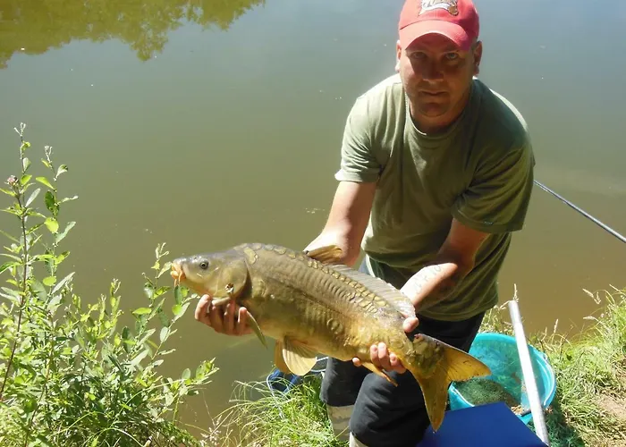 La Ferme Du Duzou Saint-Cyprien-sur-Dourdou